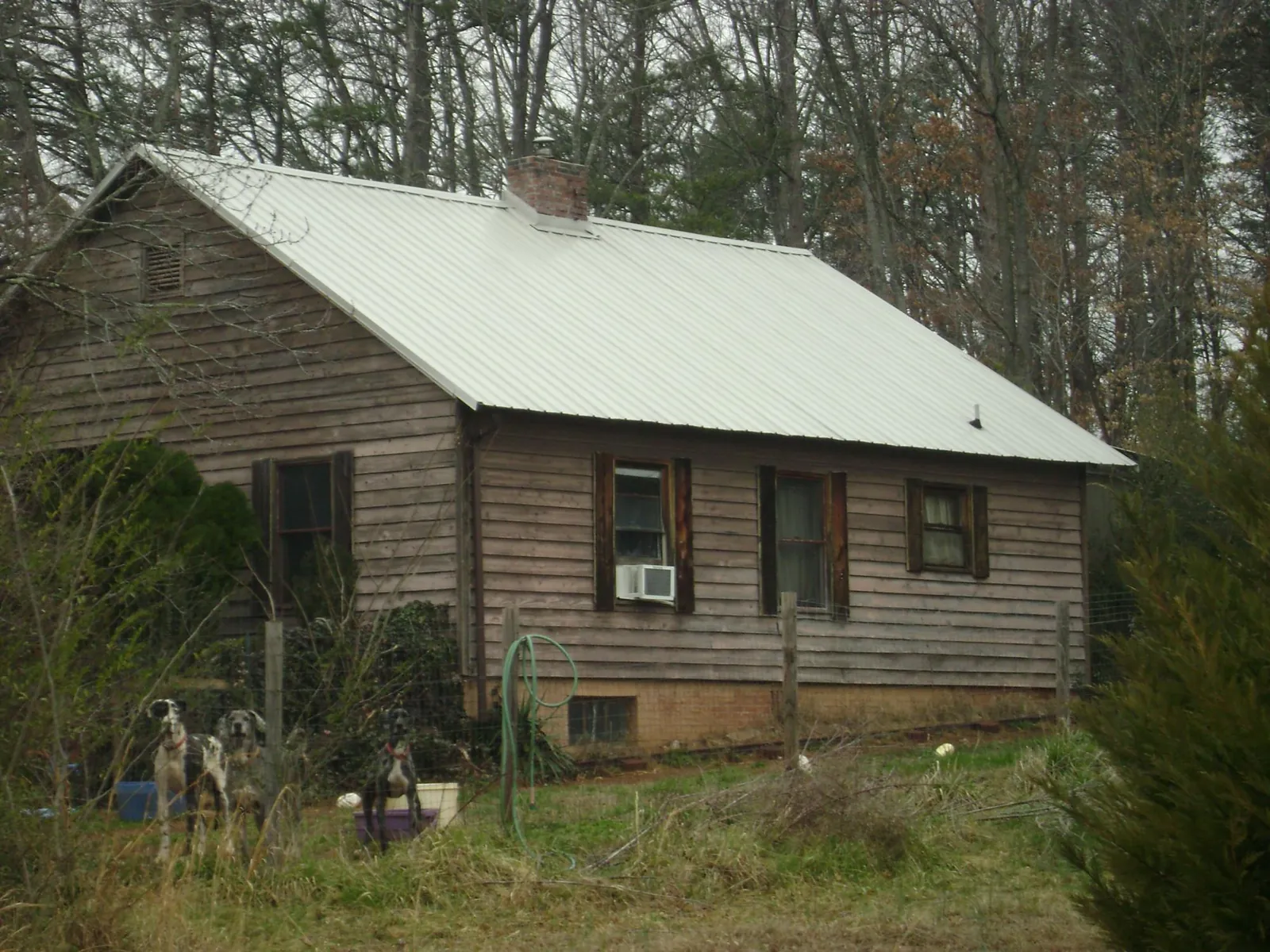 White metal roof on an old wood sided farmhouse, from a Asphalt Shingle Roof Repair job in Estill Springs